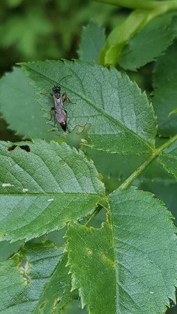 20150522_131014.jpg