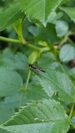 20150522_131036.jpg