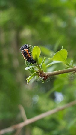 20150523_114717.jpg