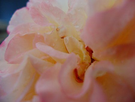 DSCF6116.JPG