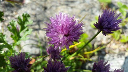 20150530_165347.jpg