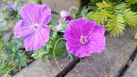 20150531_100337.jpg