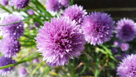 20150531_100301.jpg