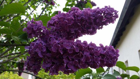 20150531_095150.jpg