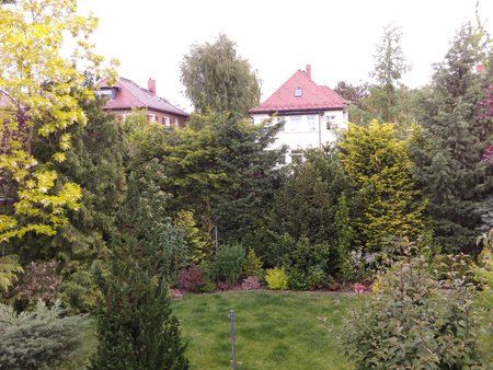 2015-06-01 10.07.33.jpg