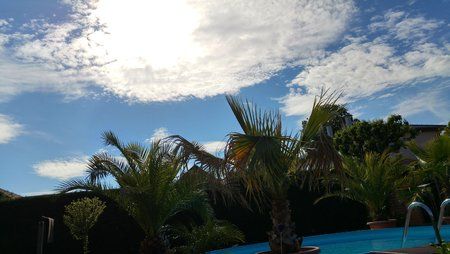 20150531_170025_HDR[1].jpg