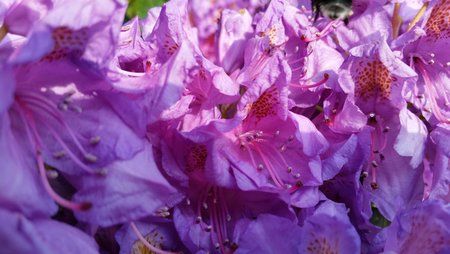20150601_185142.jpg