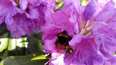 20150601_184959.jpg
