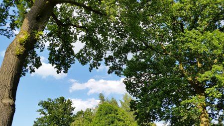 20150601_184738.jpg