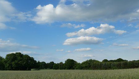 20150601_190133.jpg