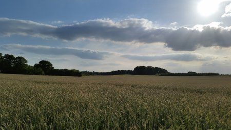 20150601_190628.jpg