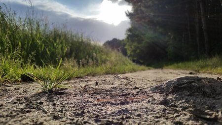 20150601_191419.jpg