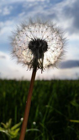 20150601_193437.jpg