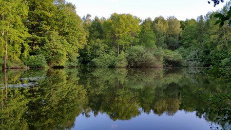 20150601_194227.jpg