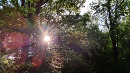 20150601_192158.jpg