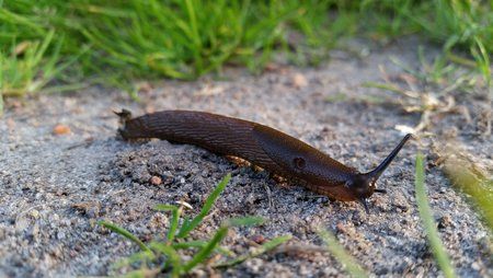 20150601_200239.jpg