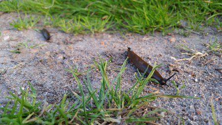 20150601_200309.jpg