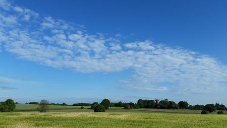 20150602_081440.jpg