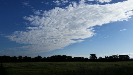 20150602_082930.jpg