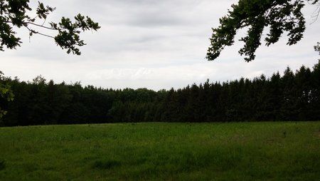 20150603_164205_HDR.jpg