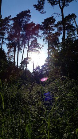20150605_191755.jpg