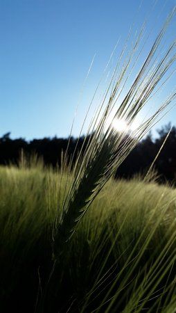 20150605_192658.jpg