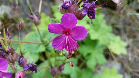 20150606_151204.jpg