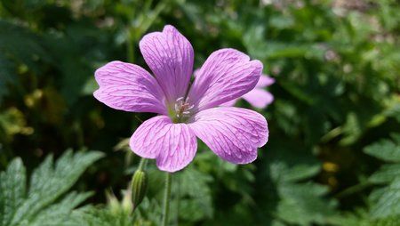 20150606_151249.jpg