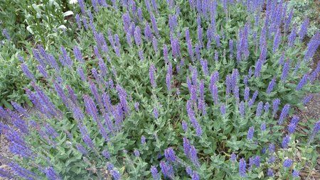 20150608_143502.jpg