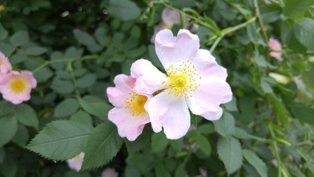 20150608_144126.jpg