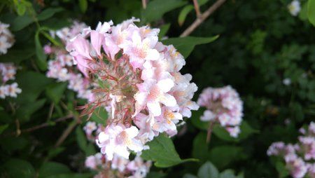 20150608_144243.jpg