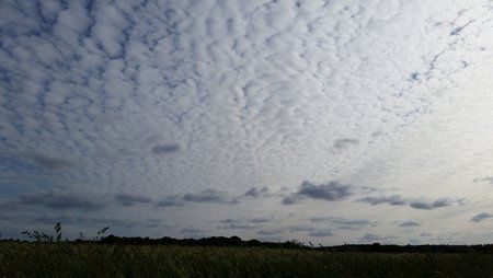 20150608_181950.jpg