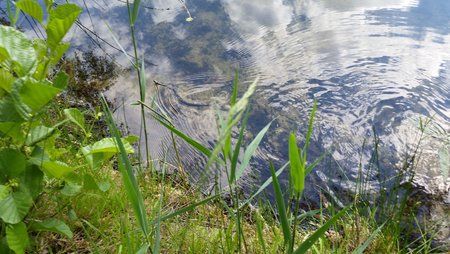 20150611_161237.jpg