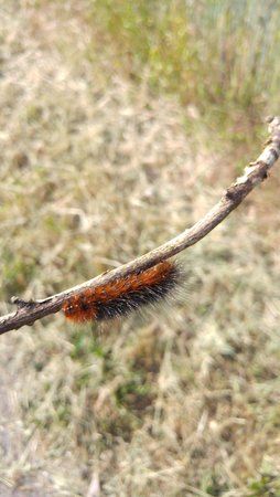 20150612_171324.jpg