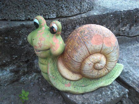 PHOTO_20150612_170800.jpg PHOTO_20150612_170800.jpg