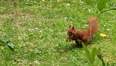 20150614_155723.jpg