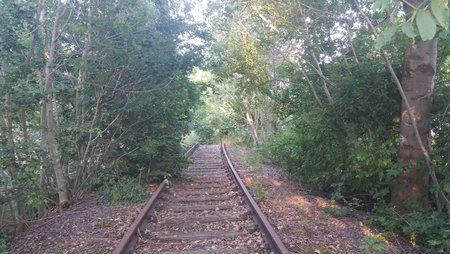 20150614_200242.jpg
