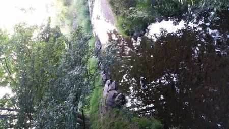 IMG_20150614_200915.jpg