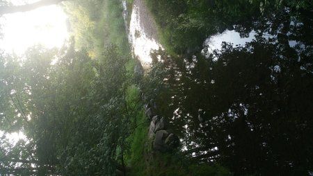 20150614_200914.jpg