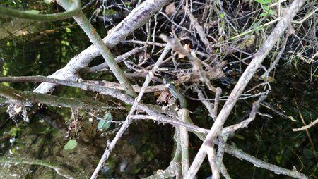 20150617_162513.jpg