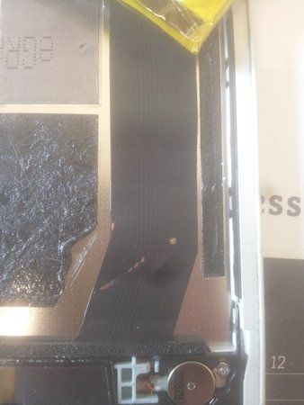 20150619_121209.jpg