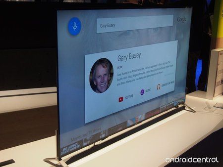 bravia-01.jpg