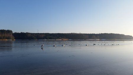 IMG_20150207_155049.jpg