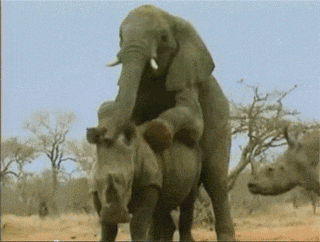 ezgif-572244068.gif