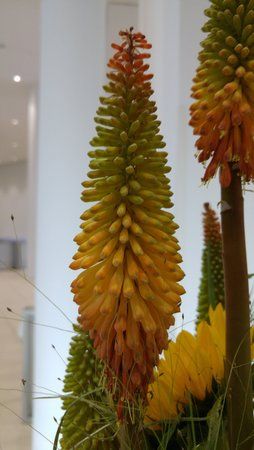 20150624_063022.jpg