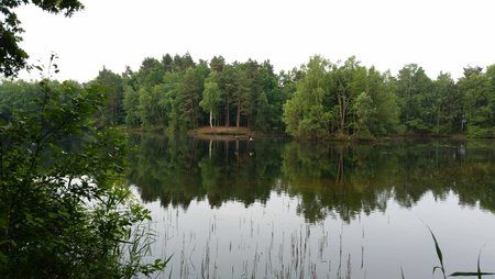 20150626_073949.jpg