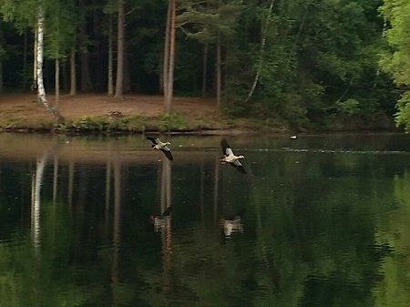 IMG_20150626_074146.jpg