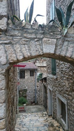 DSC_0678.jpg