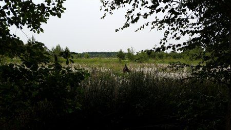 20150626_192019.jpg