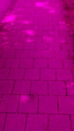 20150627_145039.jpg